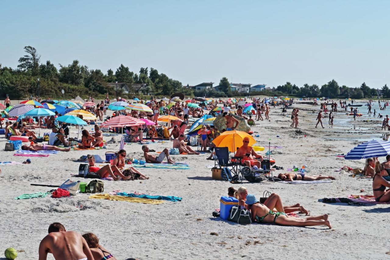 Ferienwohnung Direkt Am Strand In Makkum Exteriér fotografie